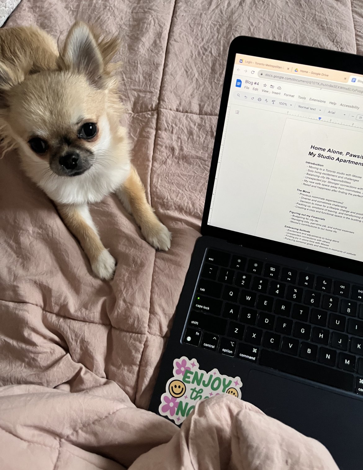 IMG_9E8E7DDA7148-1 2.jpeg