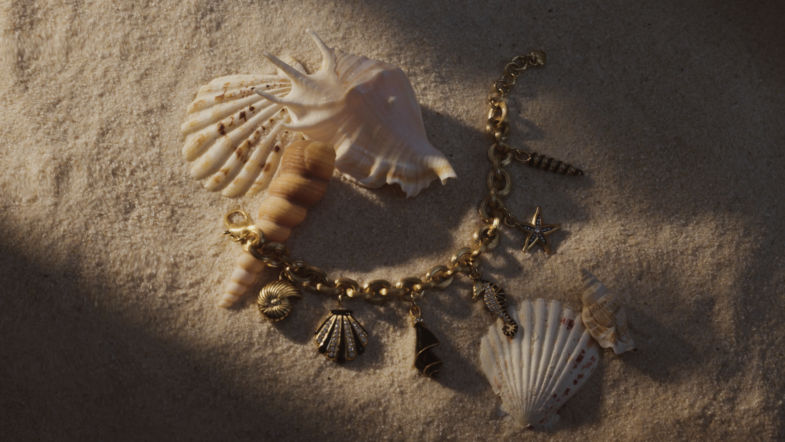 Screenshot 2026-01-30 at 12.56.10 PM.png