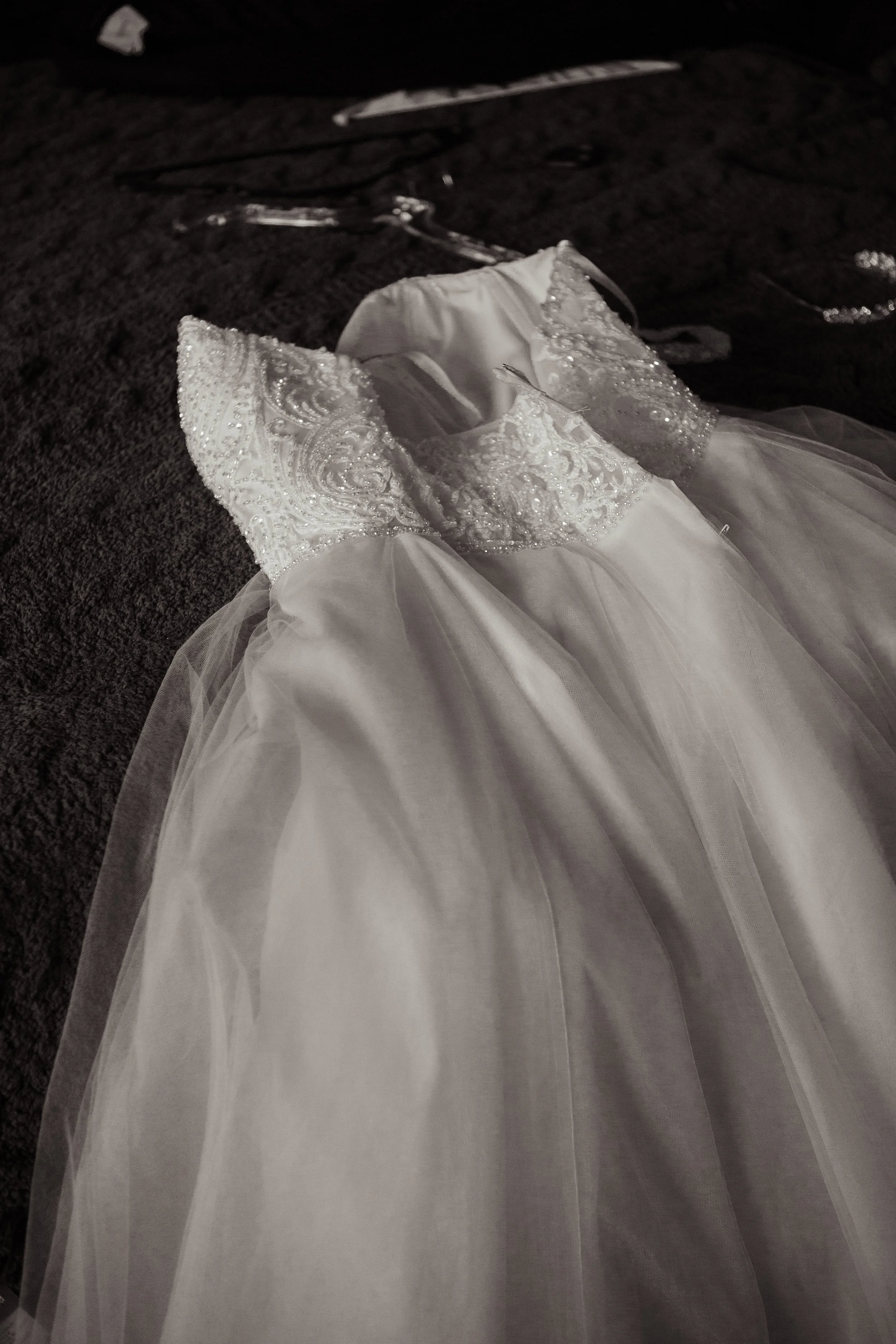 5D3_6953-2.jpg
