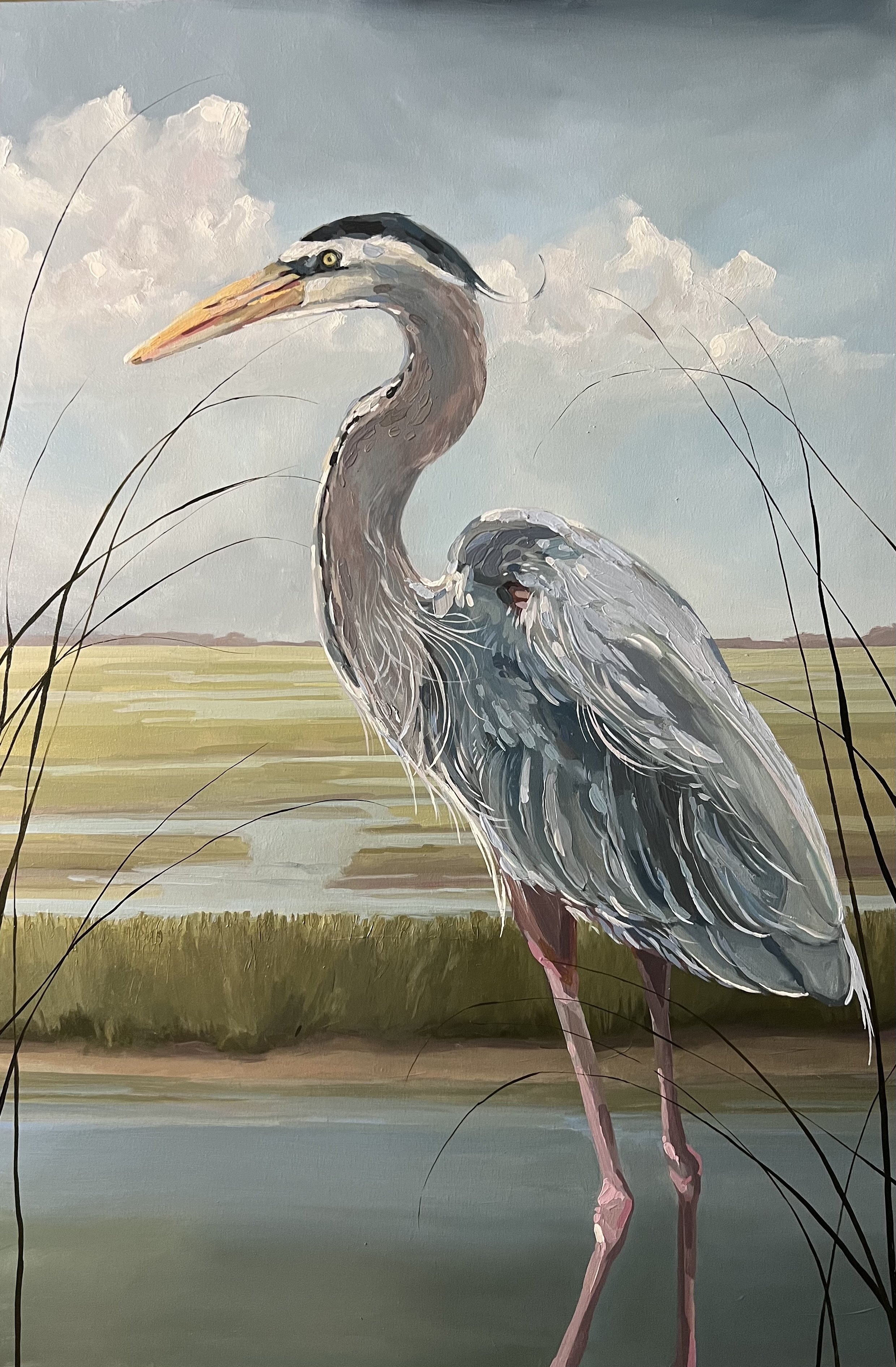 ‘Oliver’
36x48”
OIL
ID #: B1