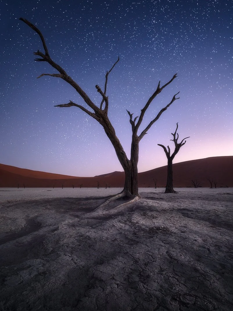 Lonely in the twilight-low res_Hasselblad X1D.jpg