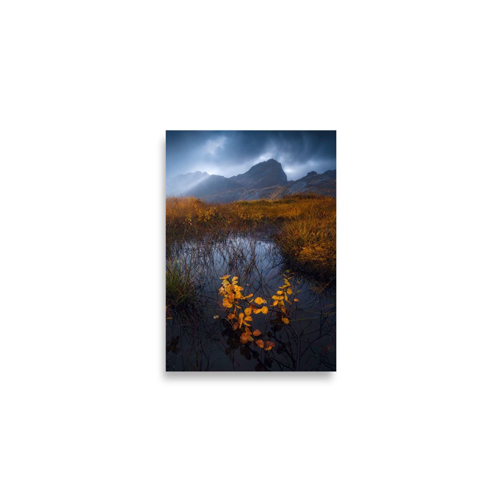 enhanced-matte-paper-poster-(in)-a2-(16.5x23.3)-front-679d562f47005.jpg