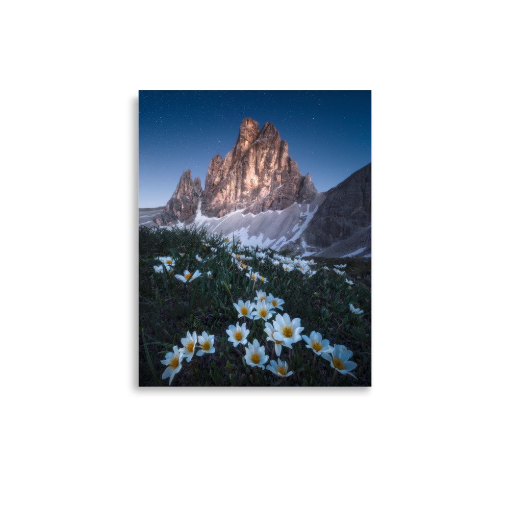 enhanced-matte-paper-poster-(in)-11x14-front-679e9c6e2371a.jpg