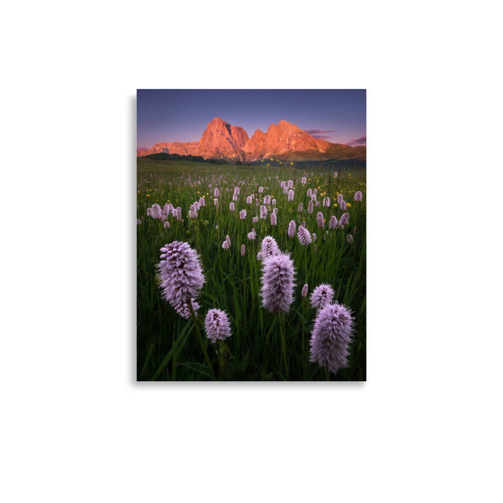 enhanced-matte-paper-poster-(in)-11x14-front-679f5f883de7f.jpg