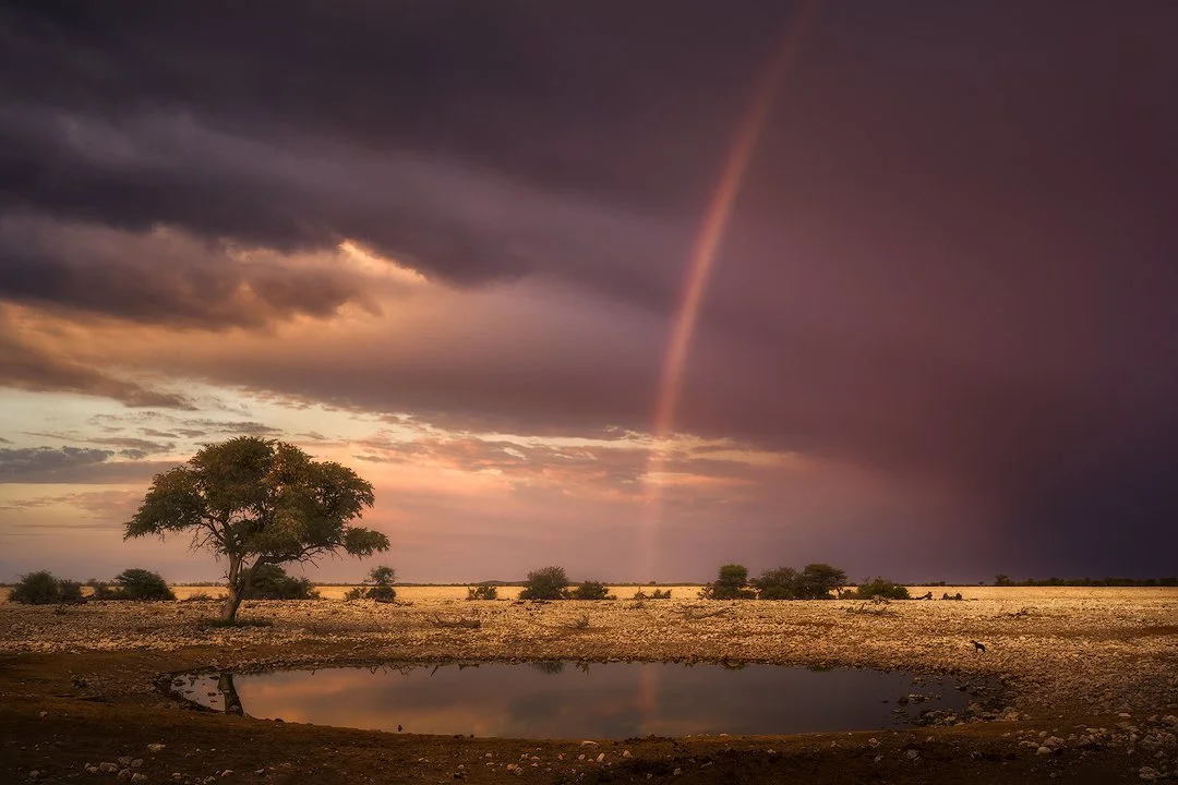 Awakening in Namibia-low res_Hasselblad X1D.jpg