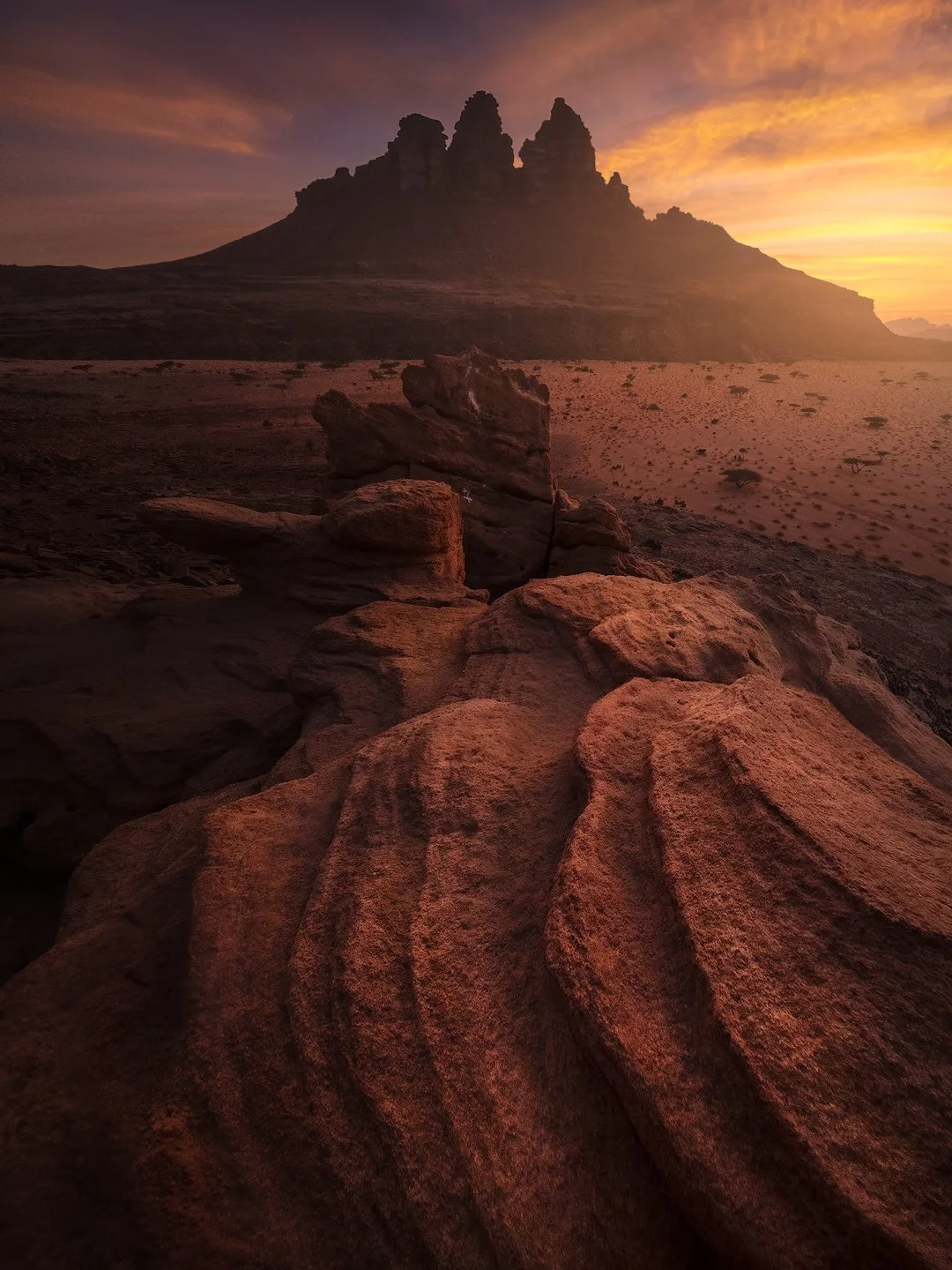 _DSF2790-copia-1-sharpened.jpg