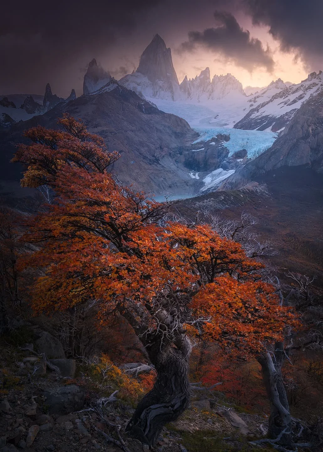 _DSF9402-3-sharpened_Full Resolution_1030x1440_U_0_gainMap.jpg