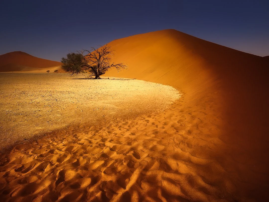 The dress of dune 45 low res_Hasselblad X1D.jpg