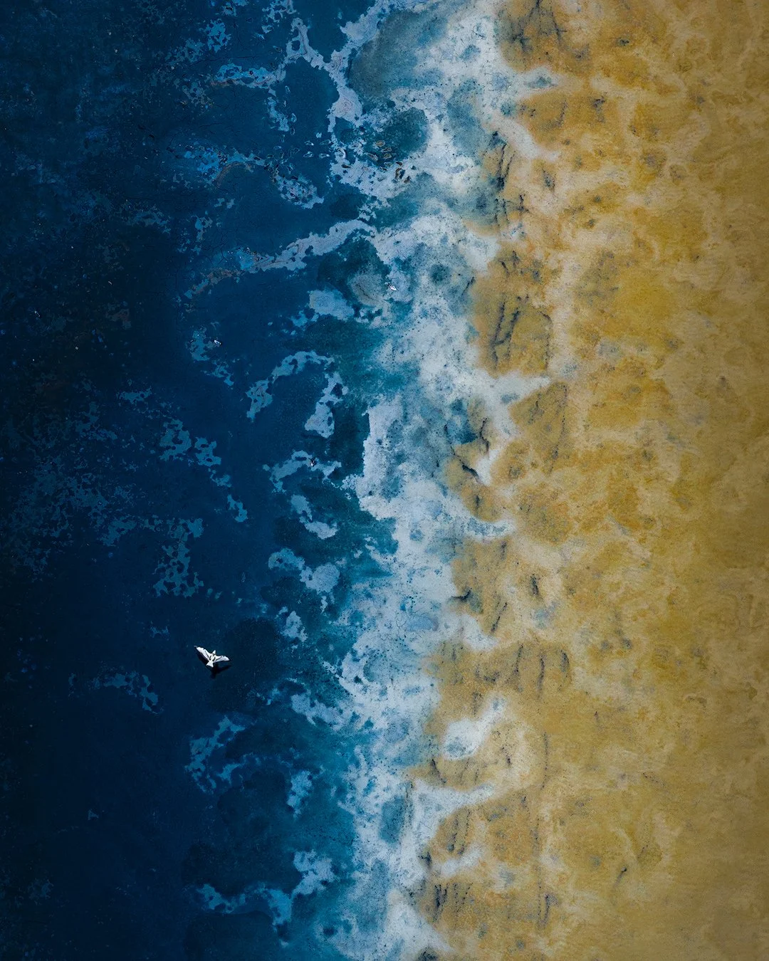 DJI_20250629061228_0140_D-1-sharpened.jpg