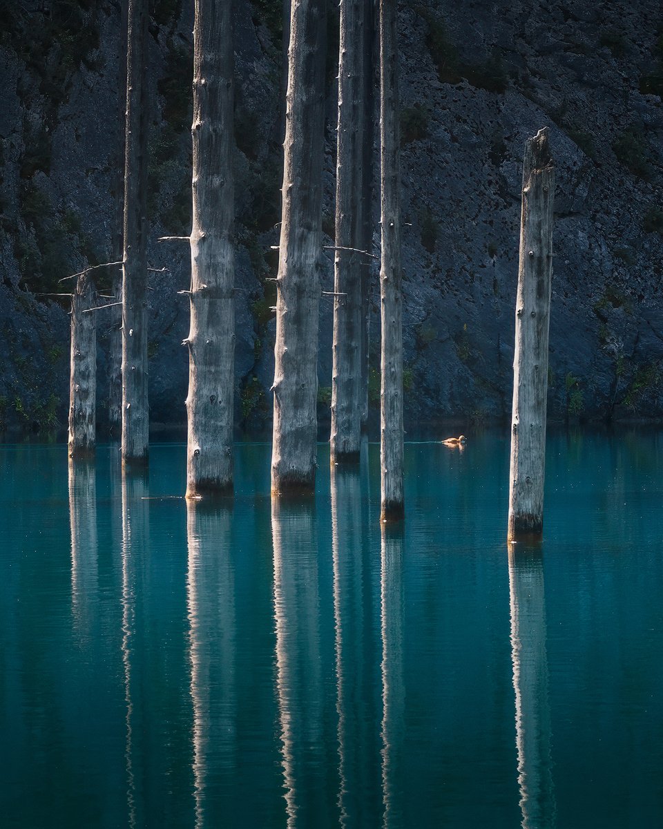 Blue-forest-3.jpg