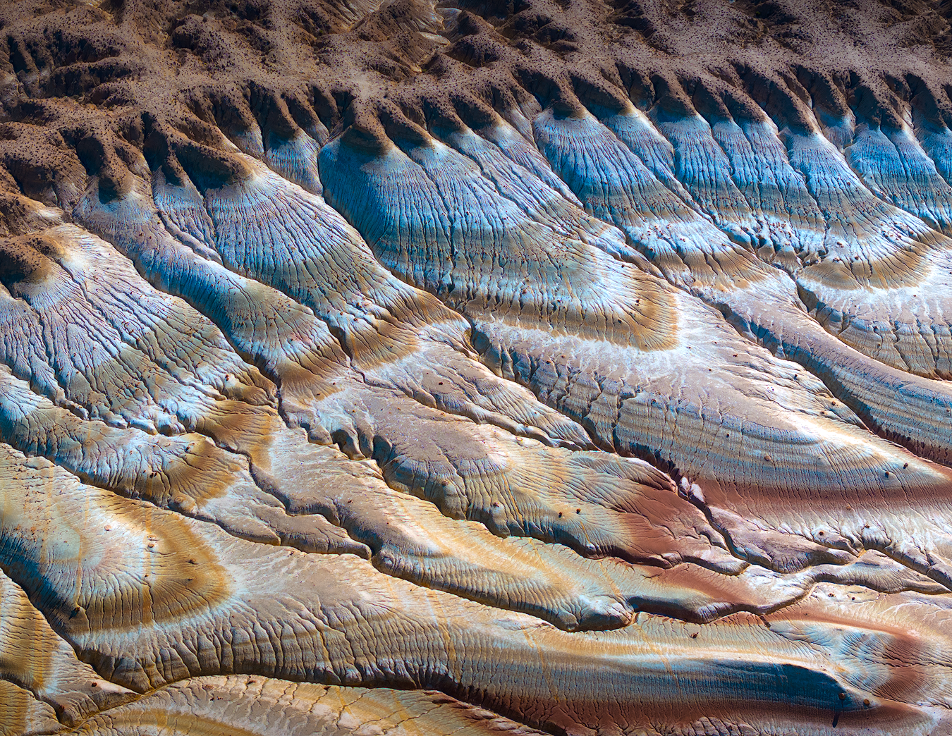 DJI_20240912131451_0126_D-1-sharpened.png