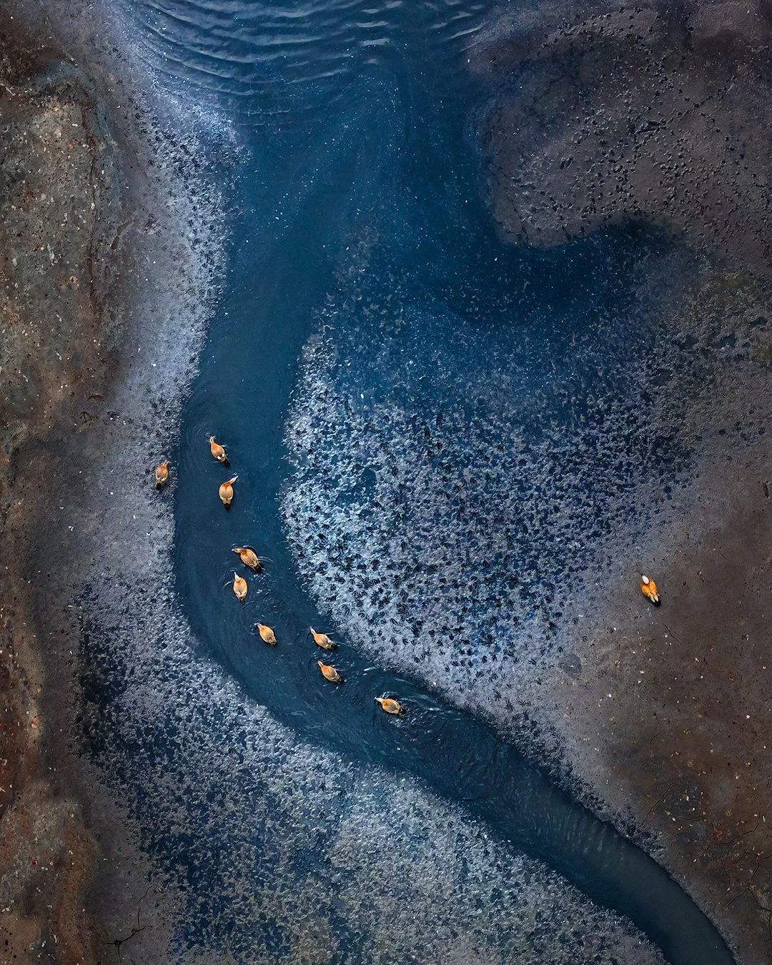 DJI_20250701071358_0237_D-1-sharpened.jpg