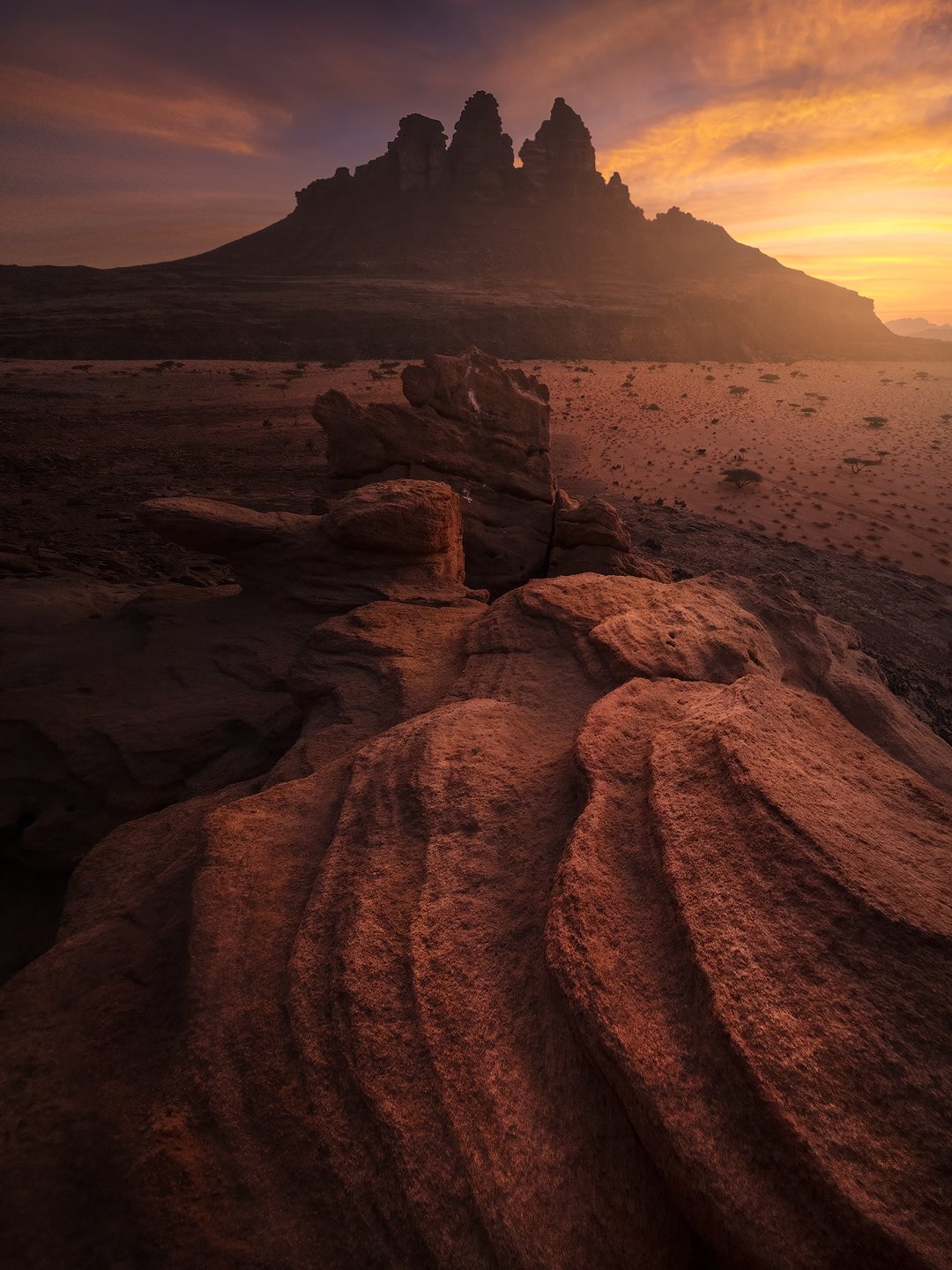 _DSF2790-copia-1-sharpened.jpg