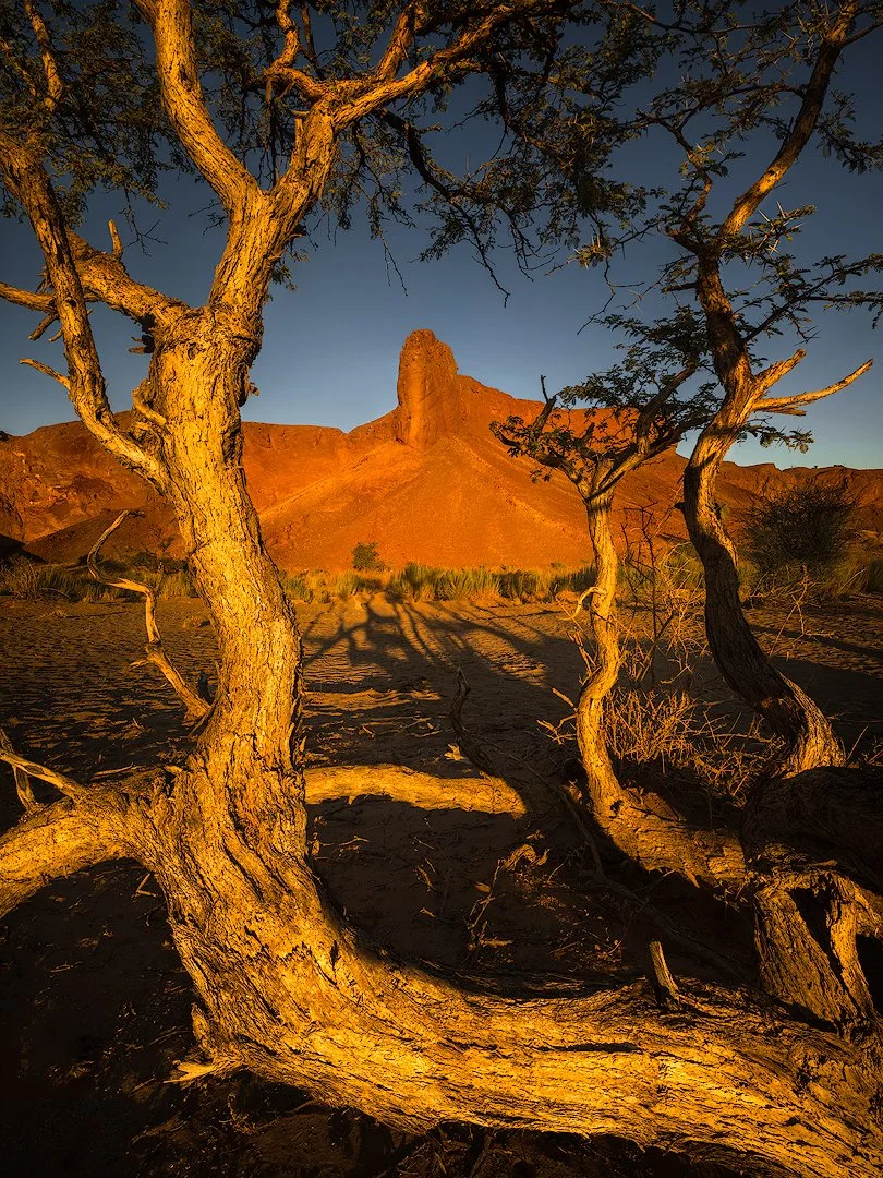 The golden view_hasselblad.jpg