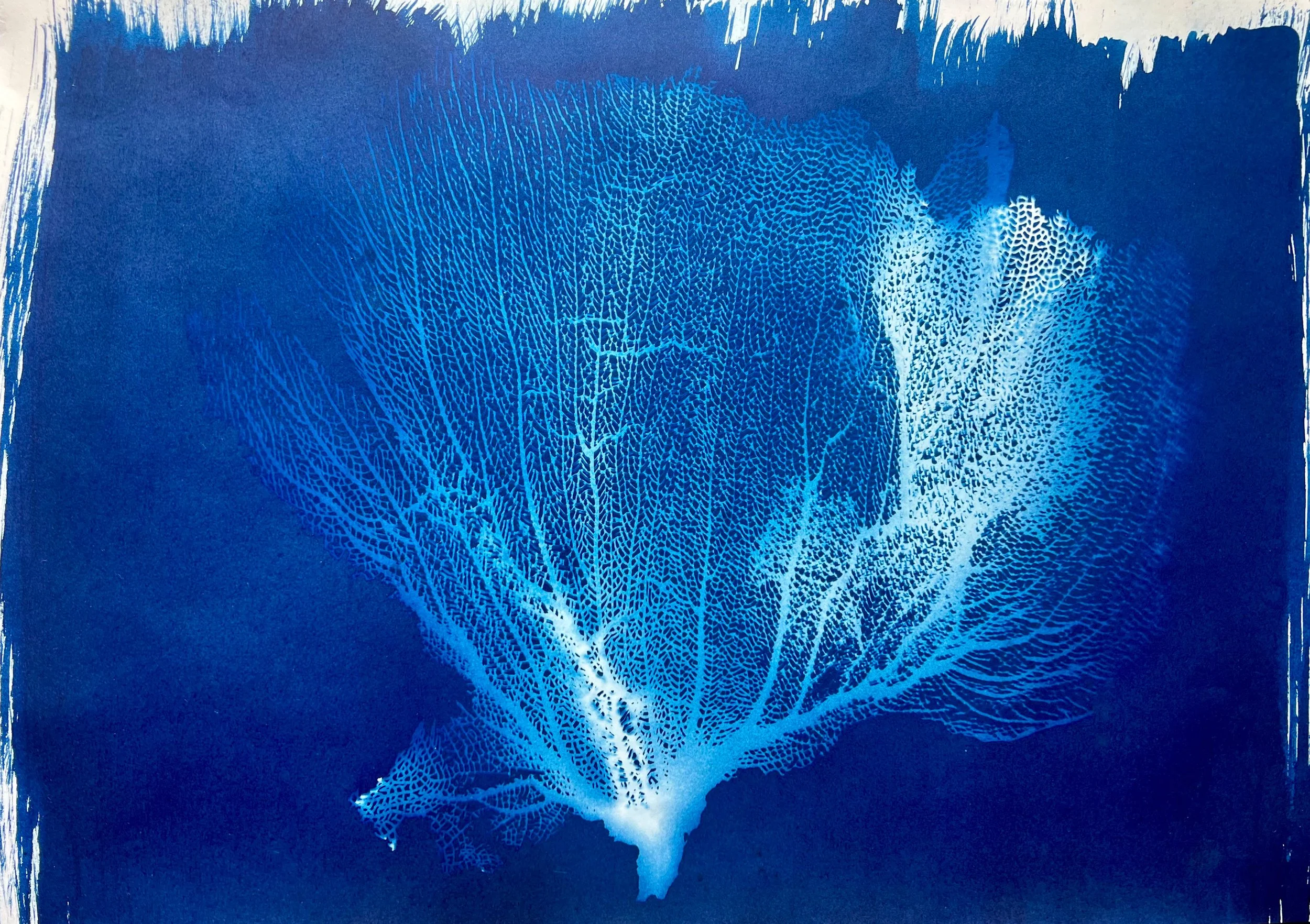 The Blues