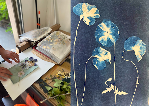 Printing with Light: Introduction to Cyanotype 