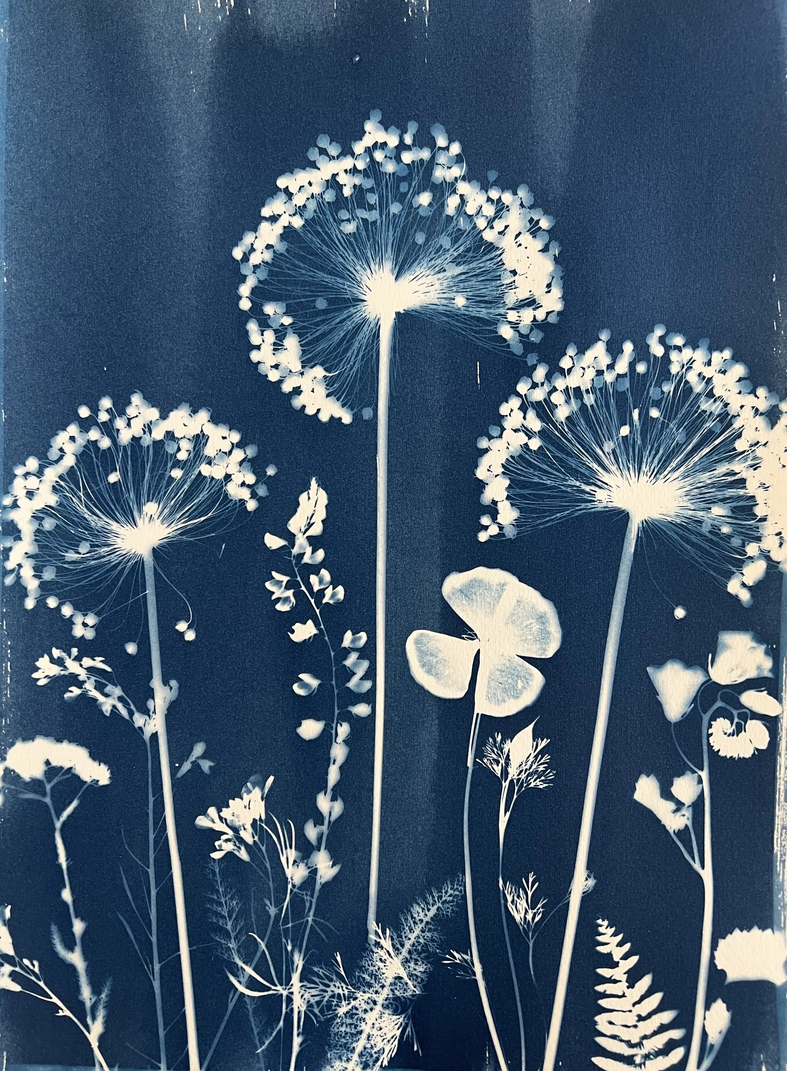 Fountain Hills Festival of Fine Arts and Crafts