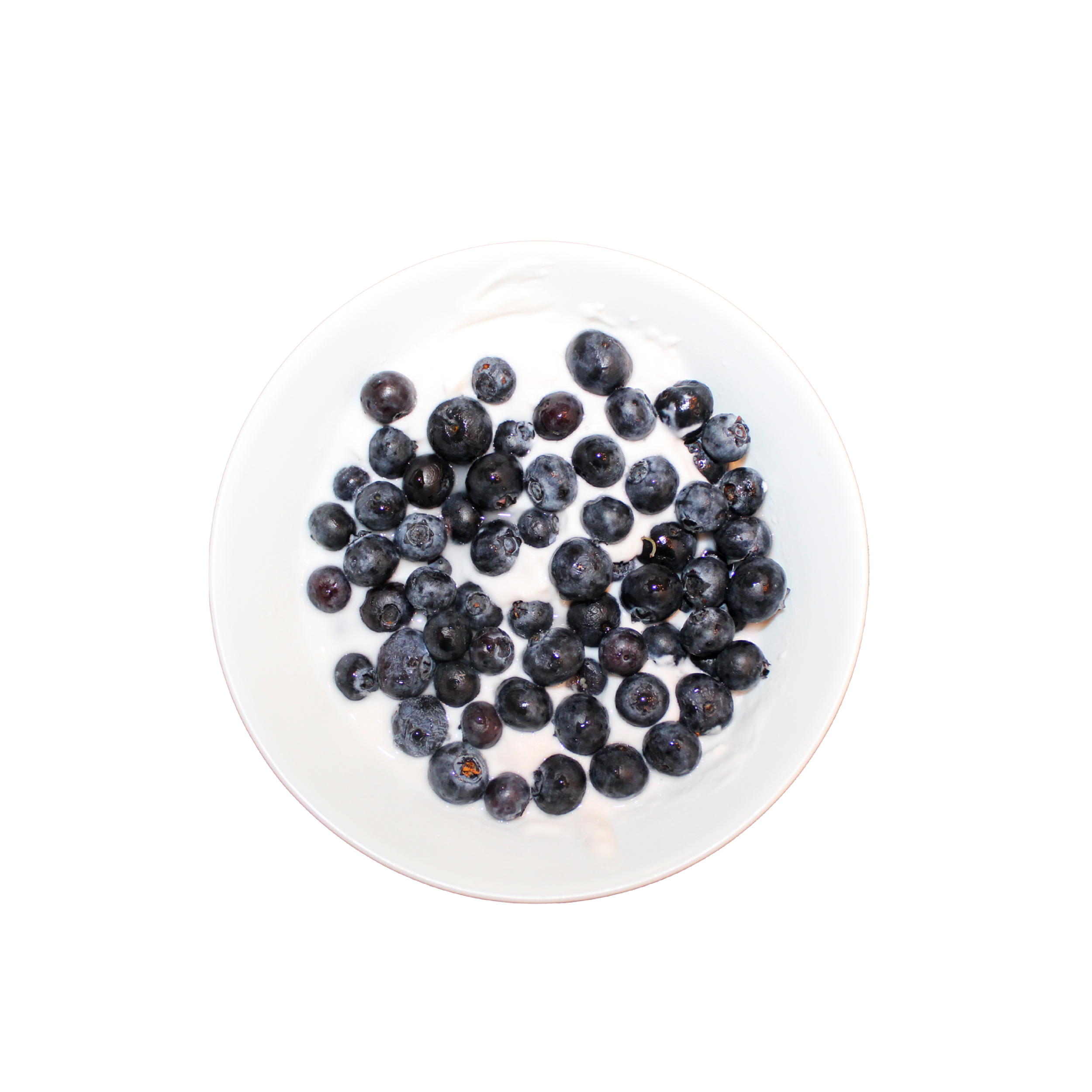Meal Iterations Jan-March-13.png