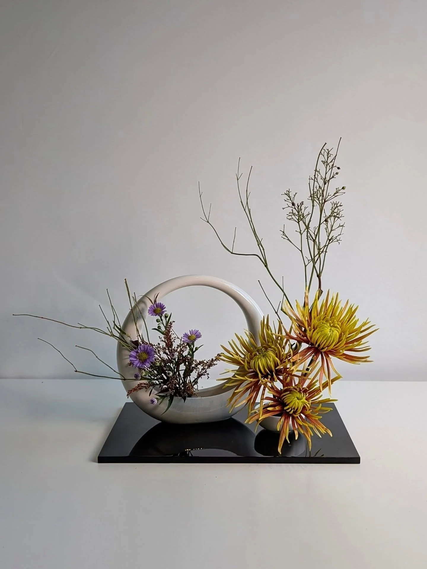 showgirls don't cry - they bloom.