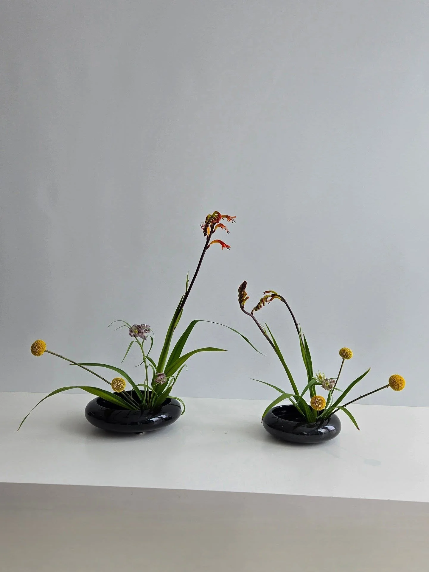 where form leads and blooms follow.