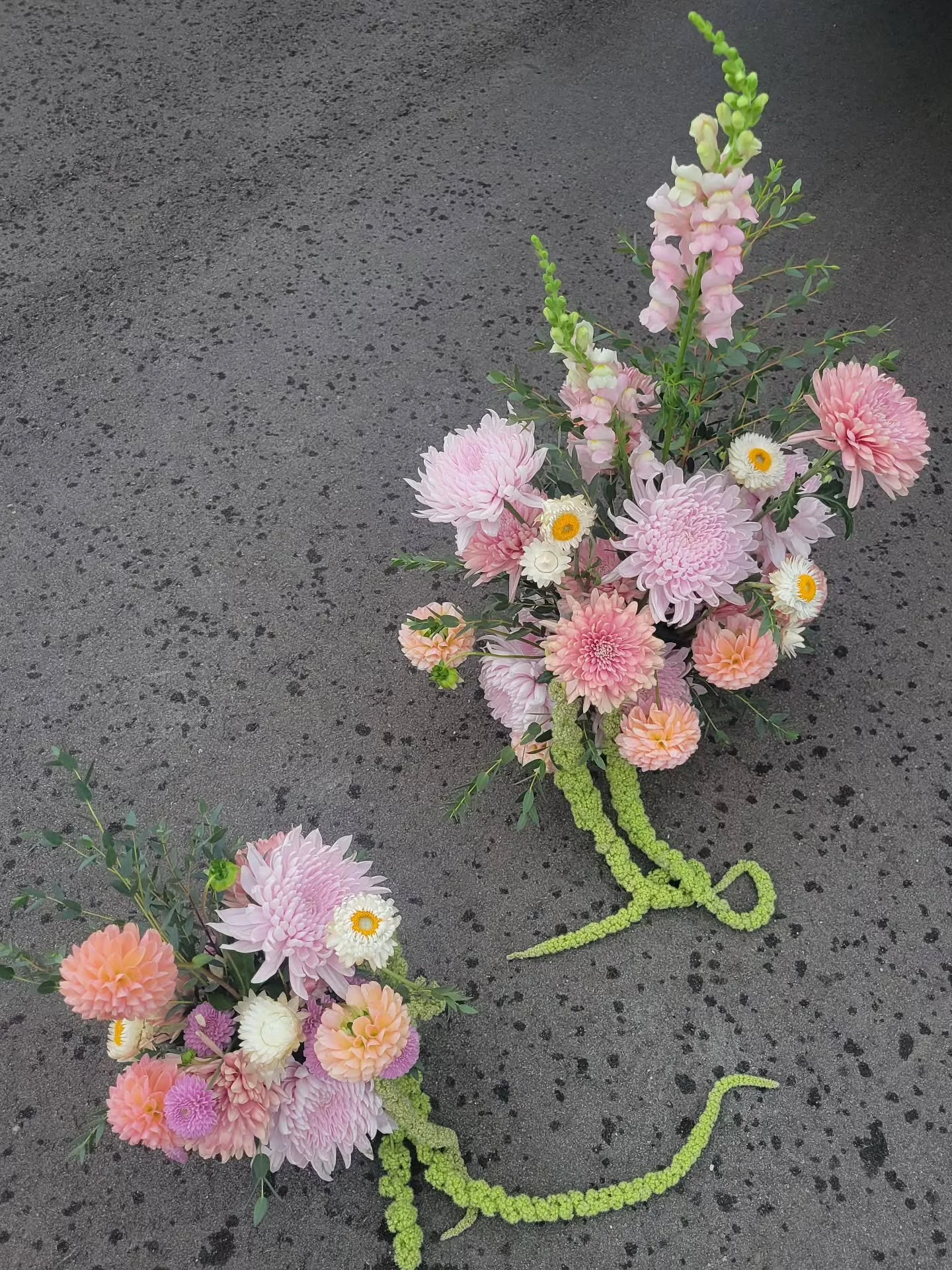 strawflowers looking like 🍳