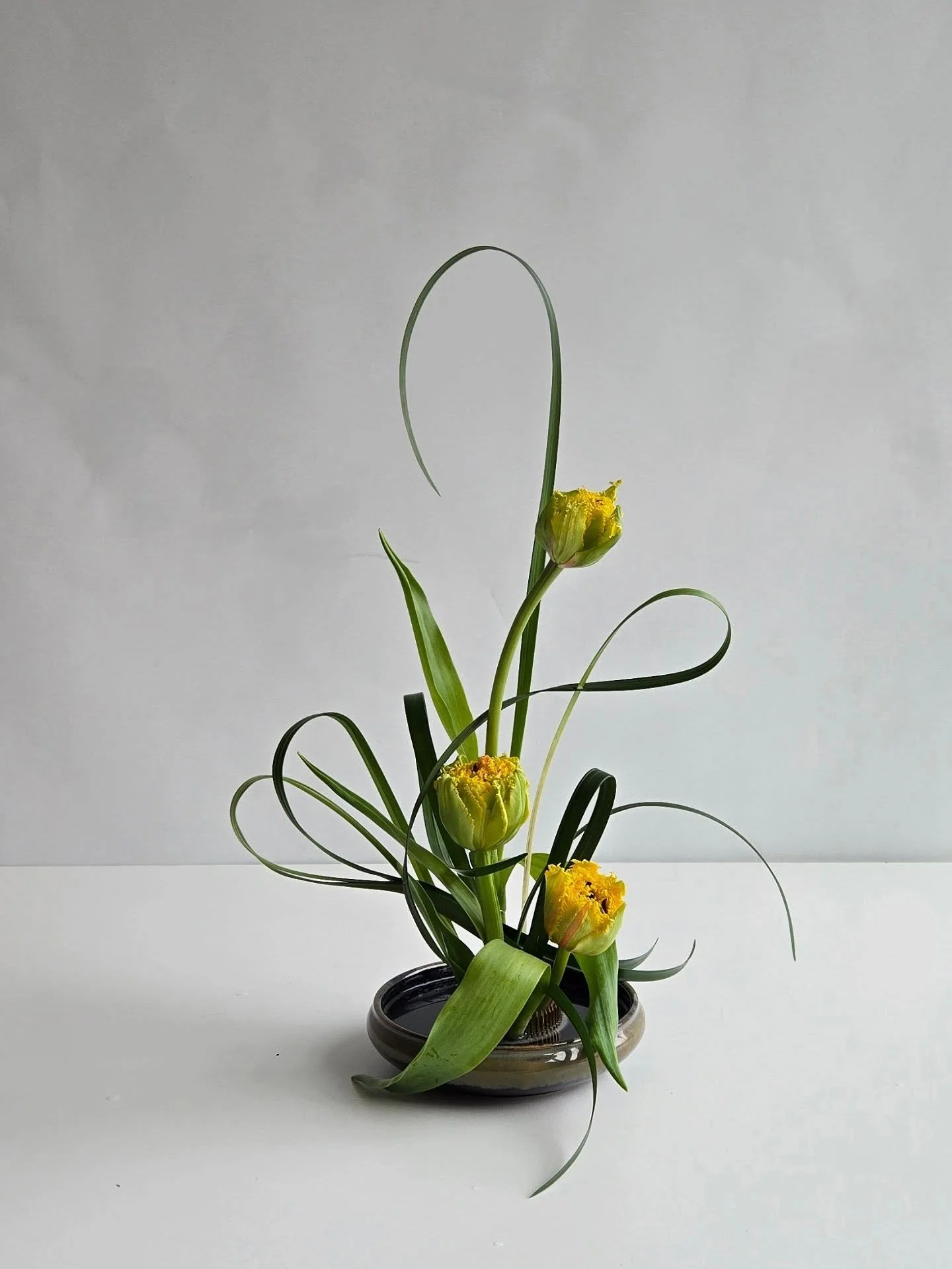 a lesson in repeating similar forms or shape 🦢