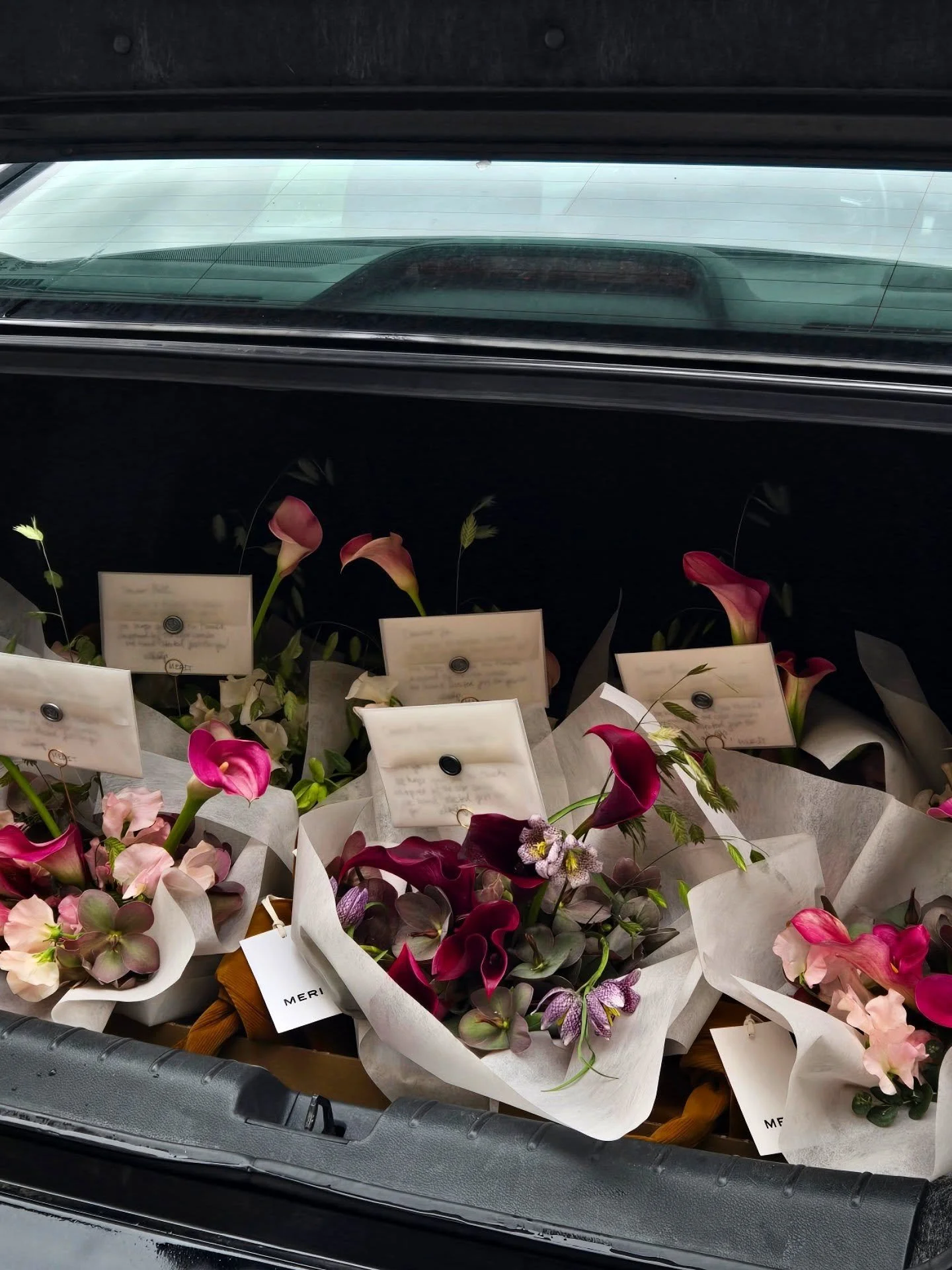 deliveries for @merit 💌