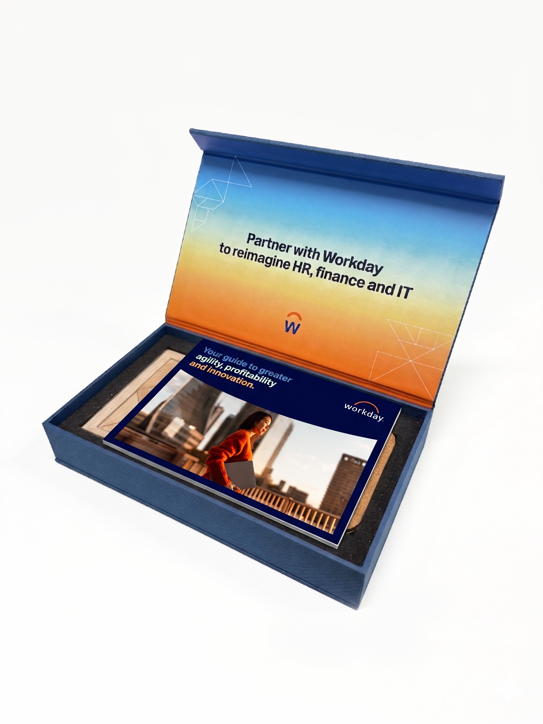 Box Interior w Booklet.png