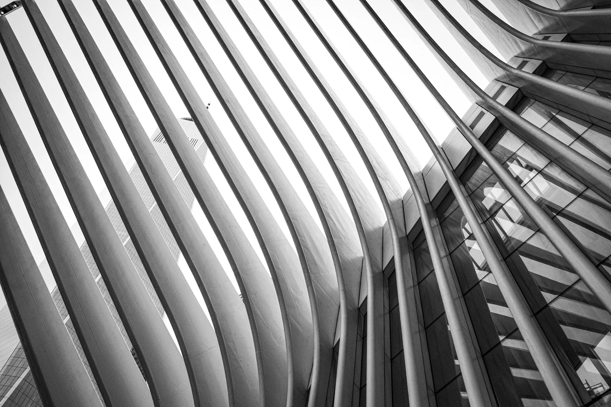 Savoring The City: World Trade Center