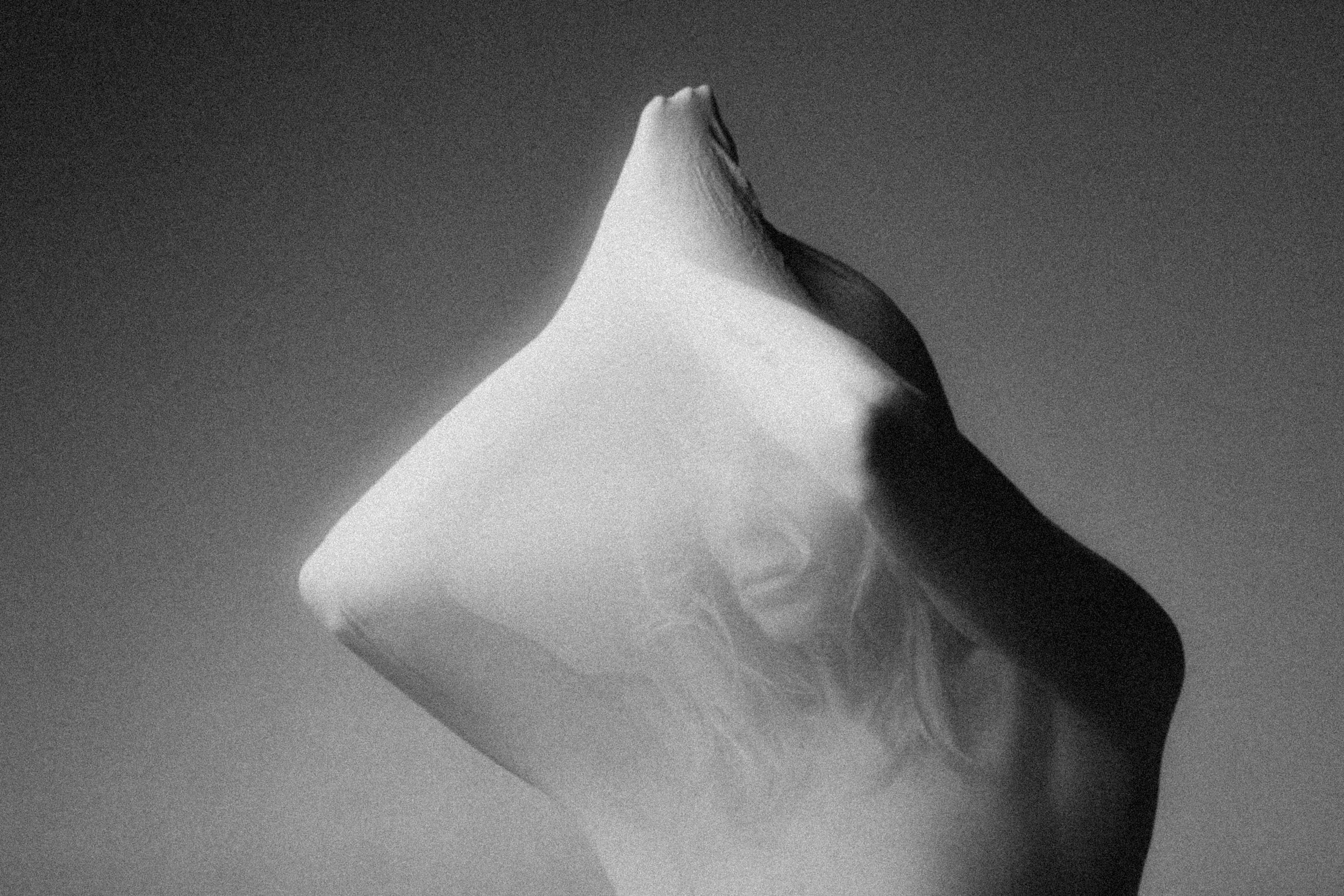 Second Skin, Session No. 2