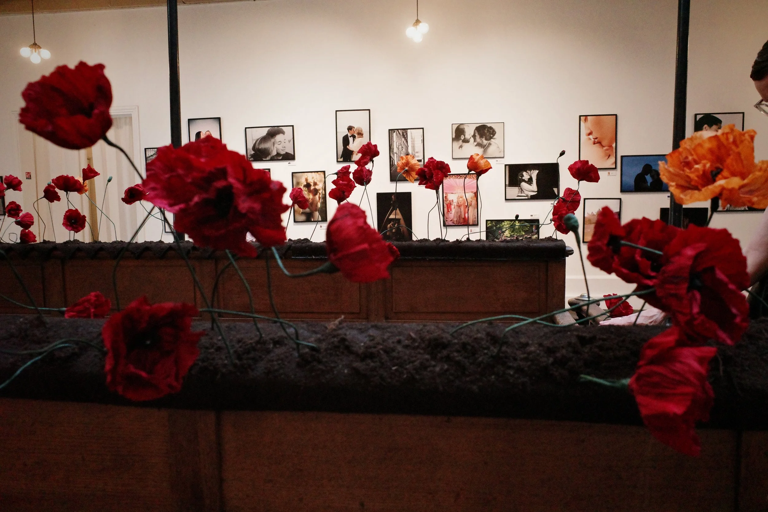 Art-Icon LOVE exhibition poppy floral art and portrait photography