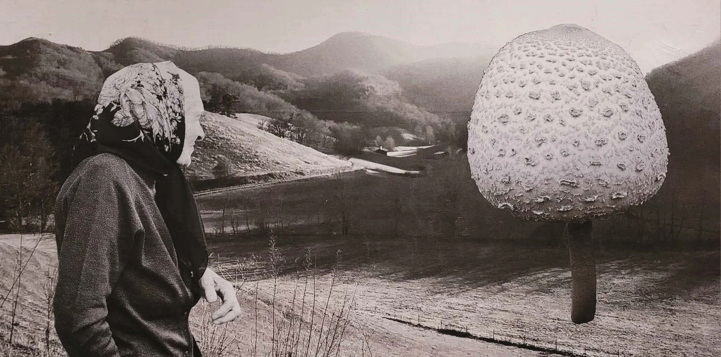 Landscape with Giant Mushroom 48"x24"