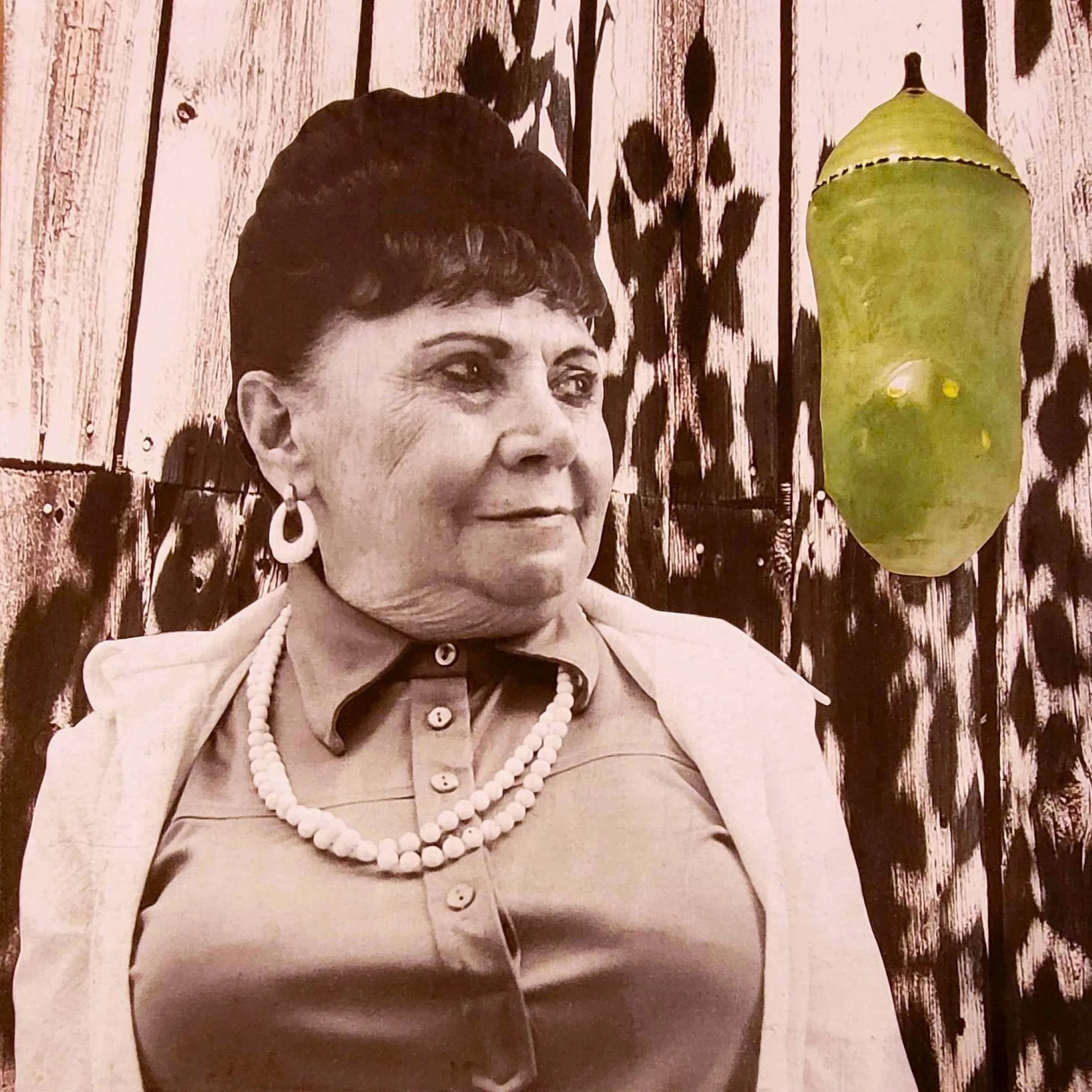 Chrysalis Gazing  24"x24"