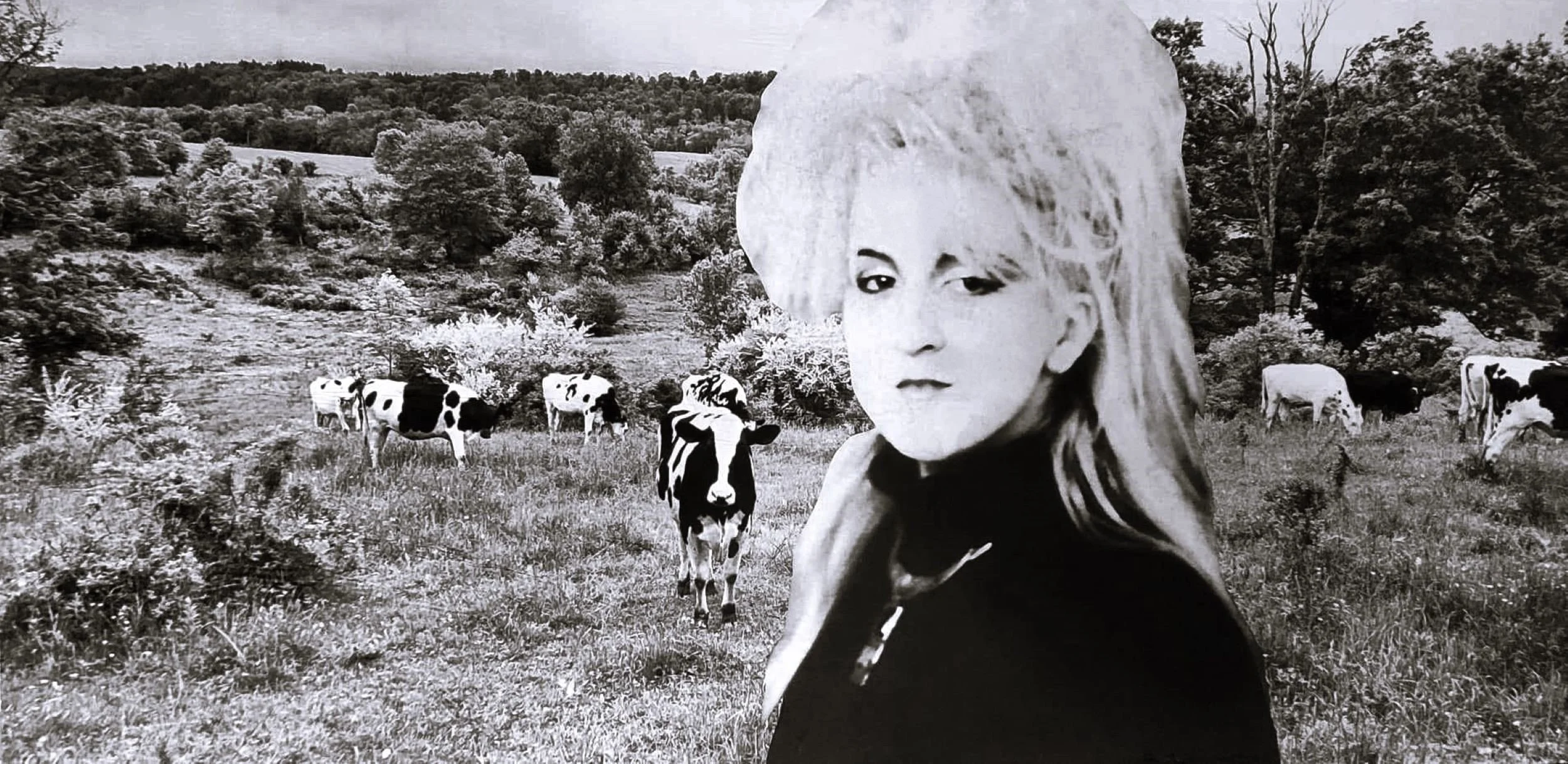 Bucolic Beauty   48"x24"