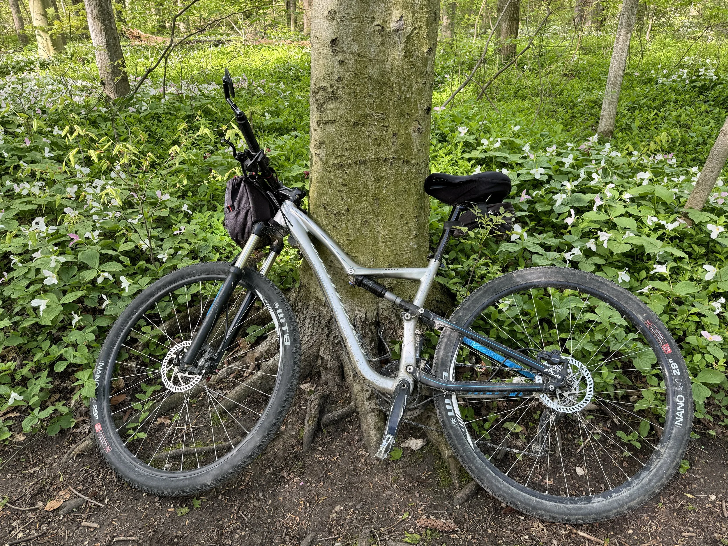Summer Activity Without the Pain: Staying Injury-Free This Season