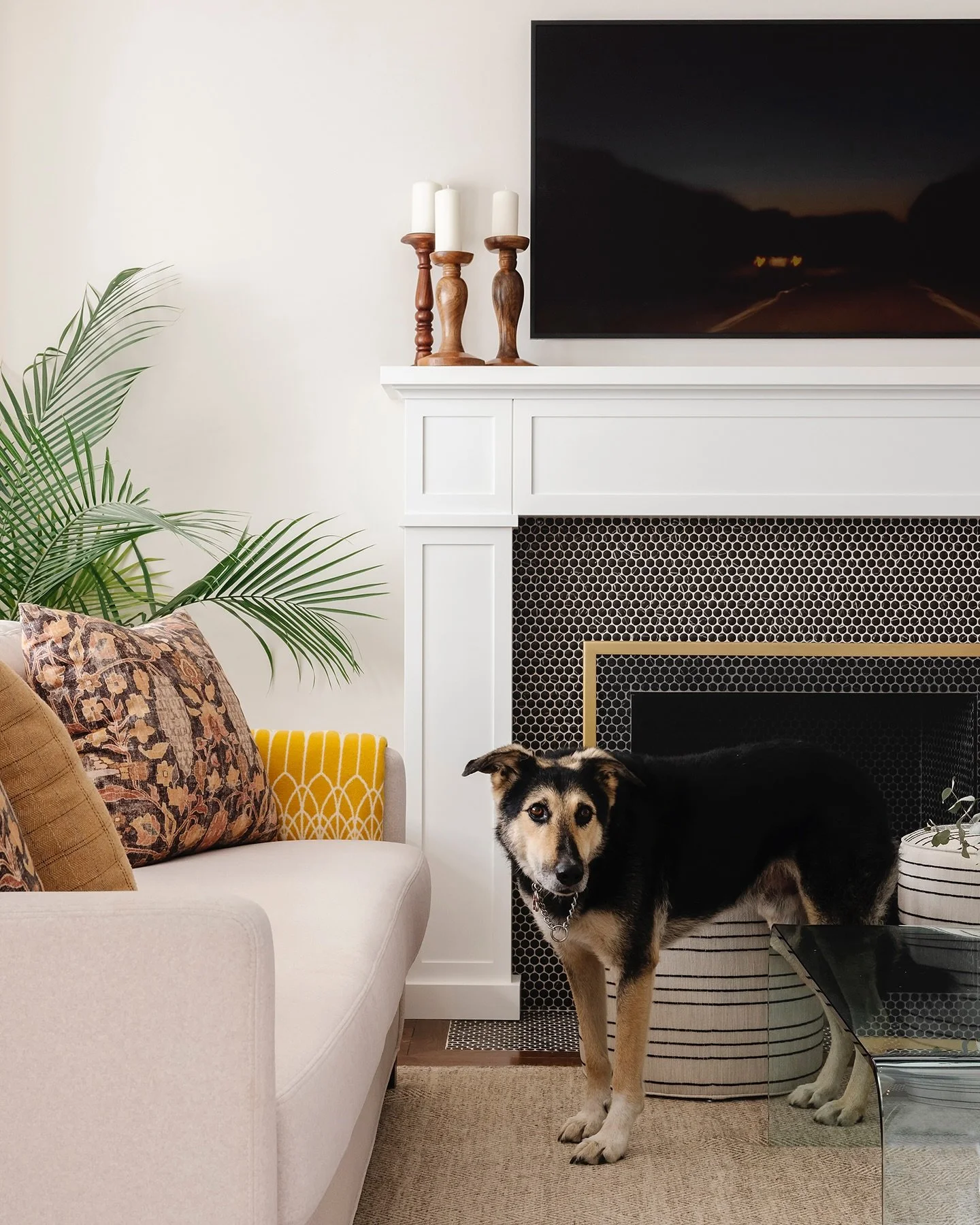 In honour of International Dog Day earlier this week, a post about them. They love us unconditionally, we love them unconditionally, they are part of our family! 90% of our clients have one, so we cater our design to include them. This means high per