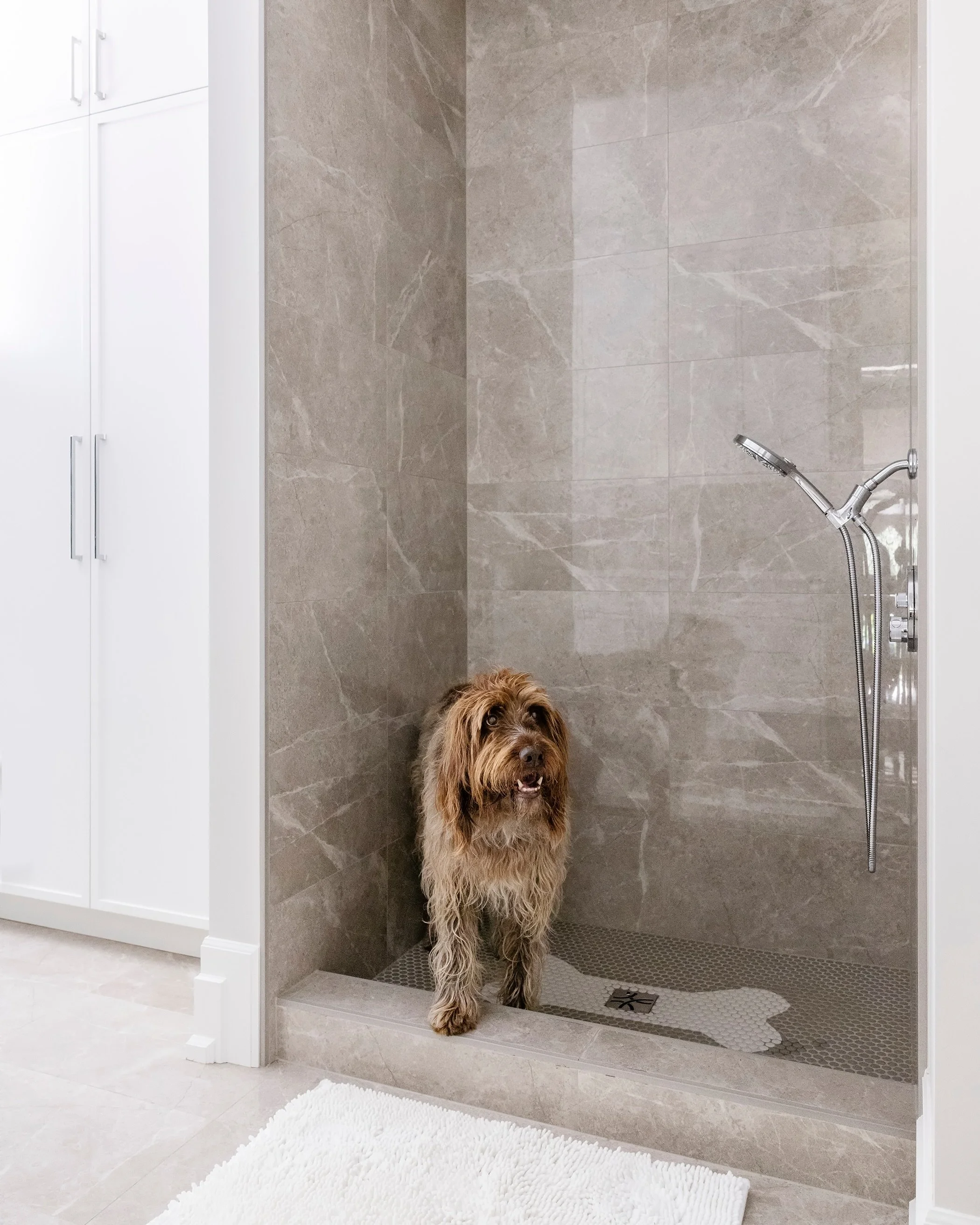 A beautifully designed home should work for every member of the family including those with four paws. 

With the majority of our clients having furry friends as part of their family, pet friendly design is something we thoughtfully integrate into ma