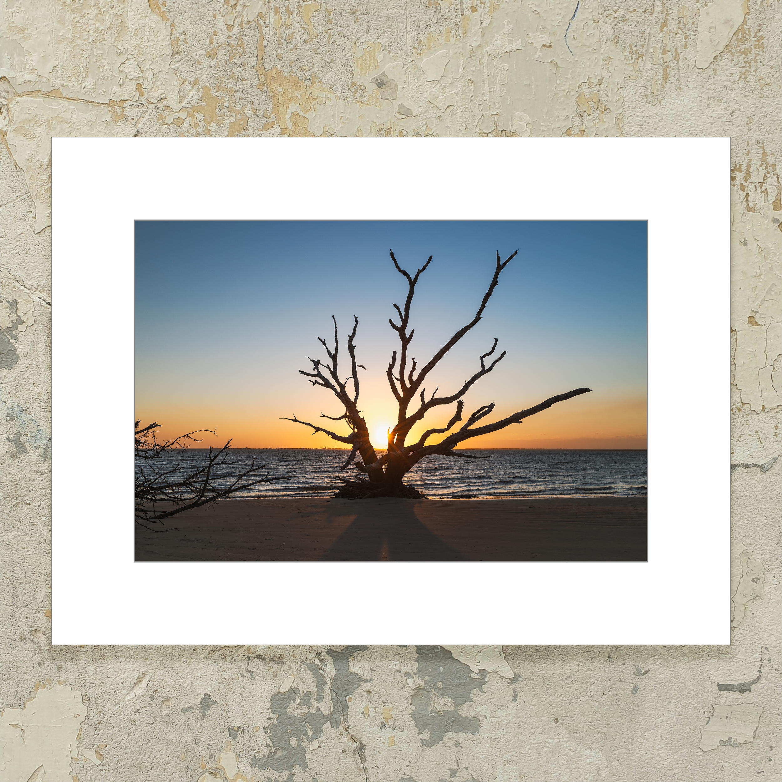 Driftwood Sunset