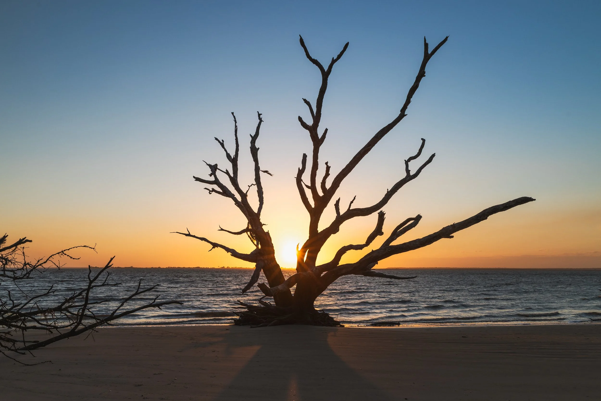 DriftwoodSunset_2x3_Print.jpg