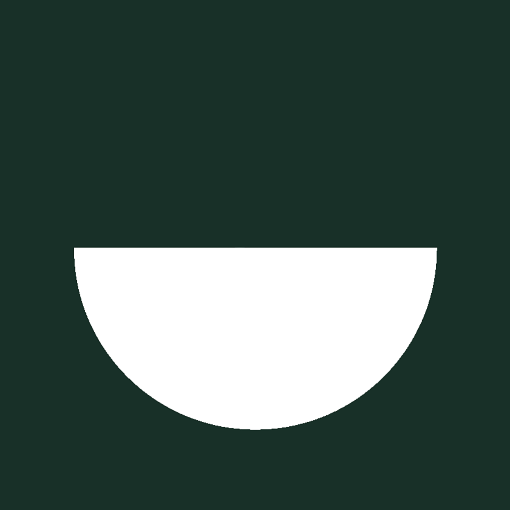 Titanium vs. Zirconia Implants