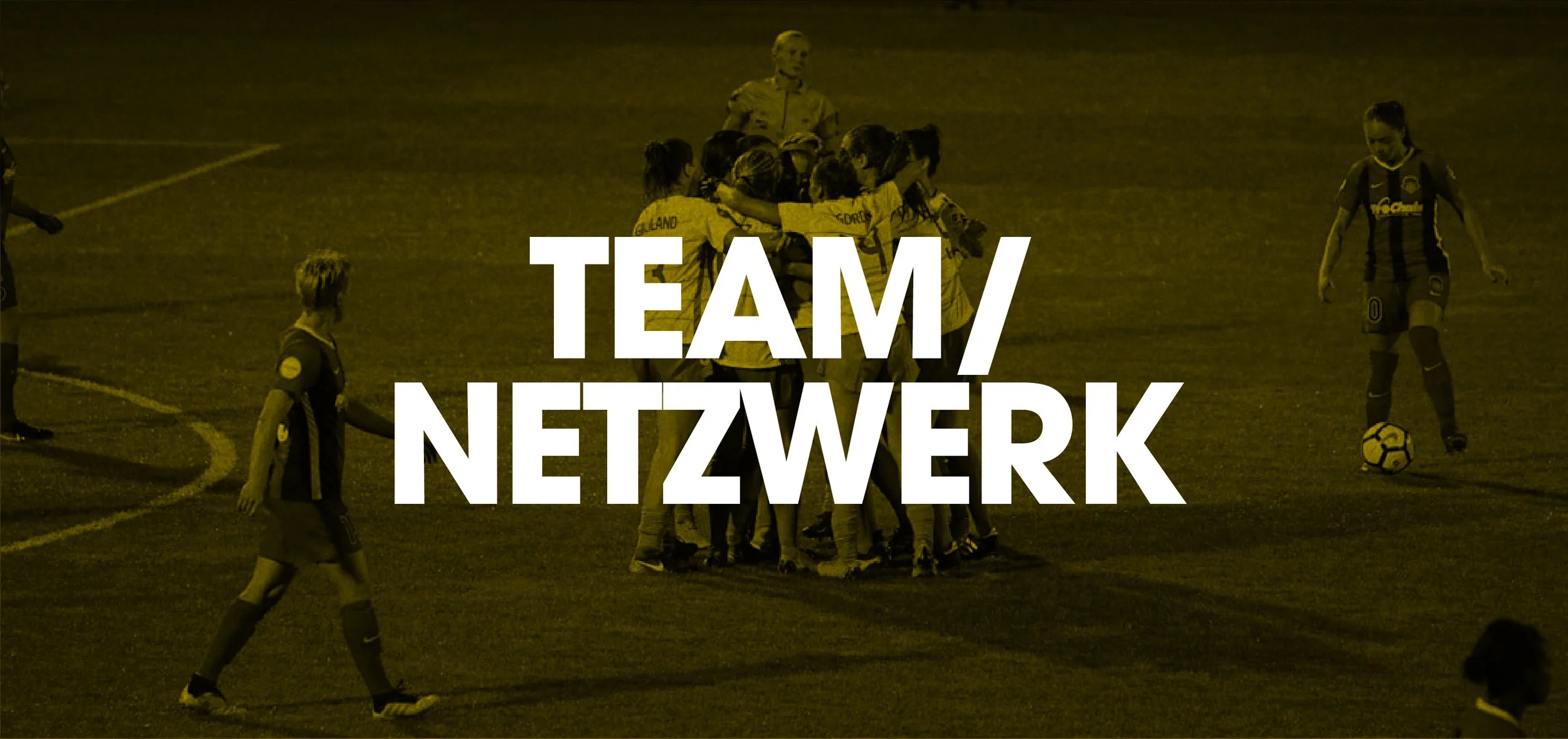 banner-teamnetzwerk2.jpg