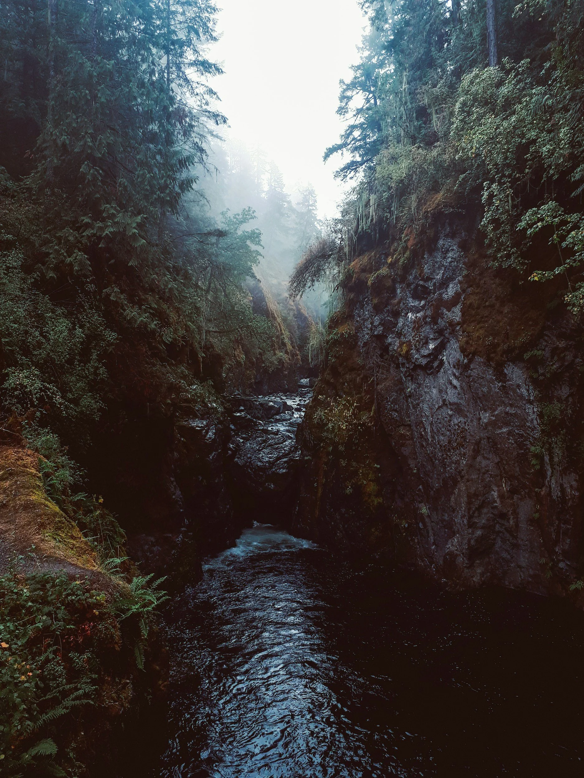 A narrow, rocky canyon with a dark river flowing through it, surrounded by lush green trees and dense vegetation, with mist in the background.