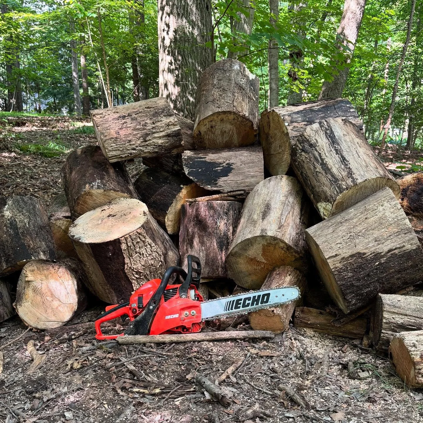 Zone 2 cardio + mindfulness meditation. Basically loud yoga.

Highly recommend. 

Brought to you by @echousa