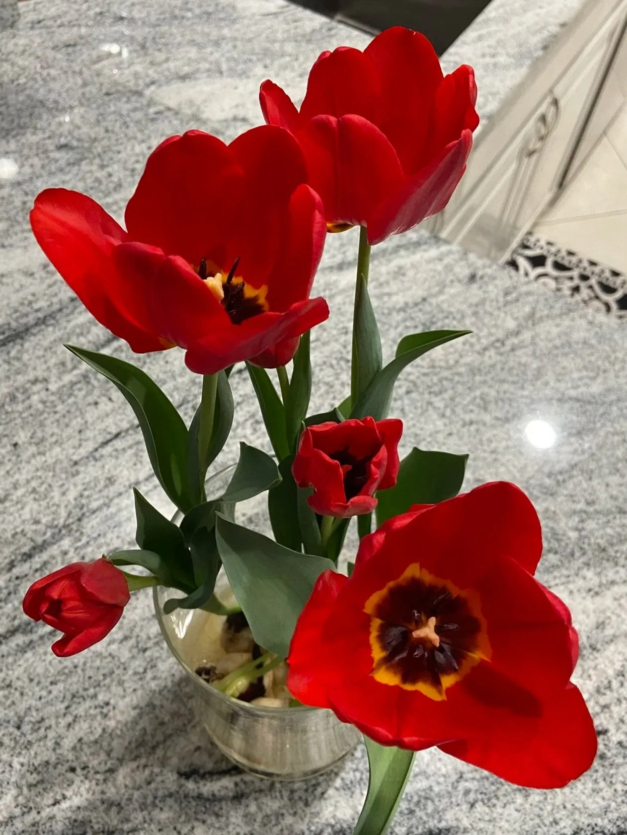 Exhibit 3: #27  Arrangement - Marcia Dieleman