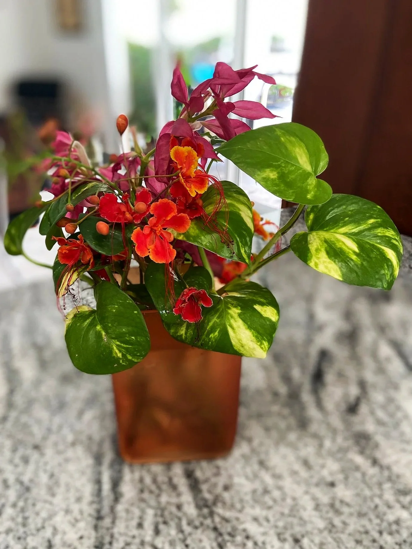 Exhibit 3: #23 Arrangement - Marcia Dieleman