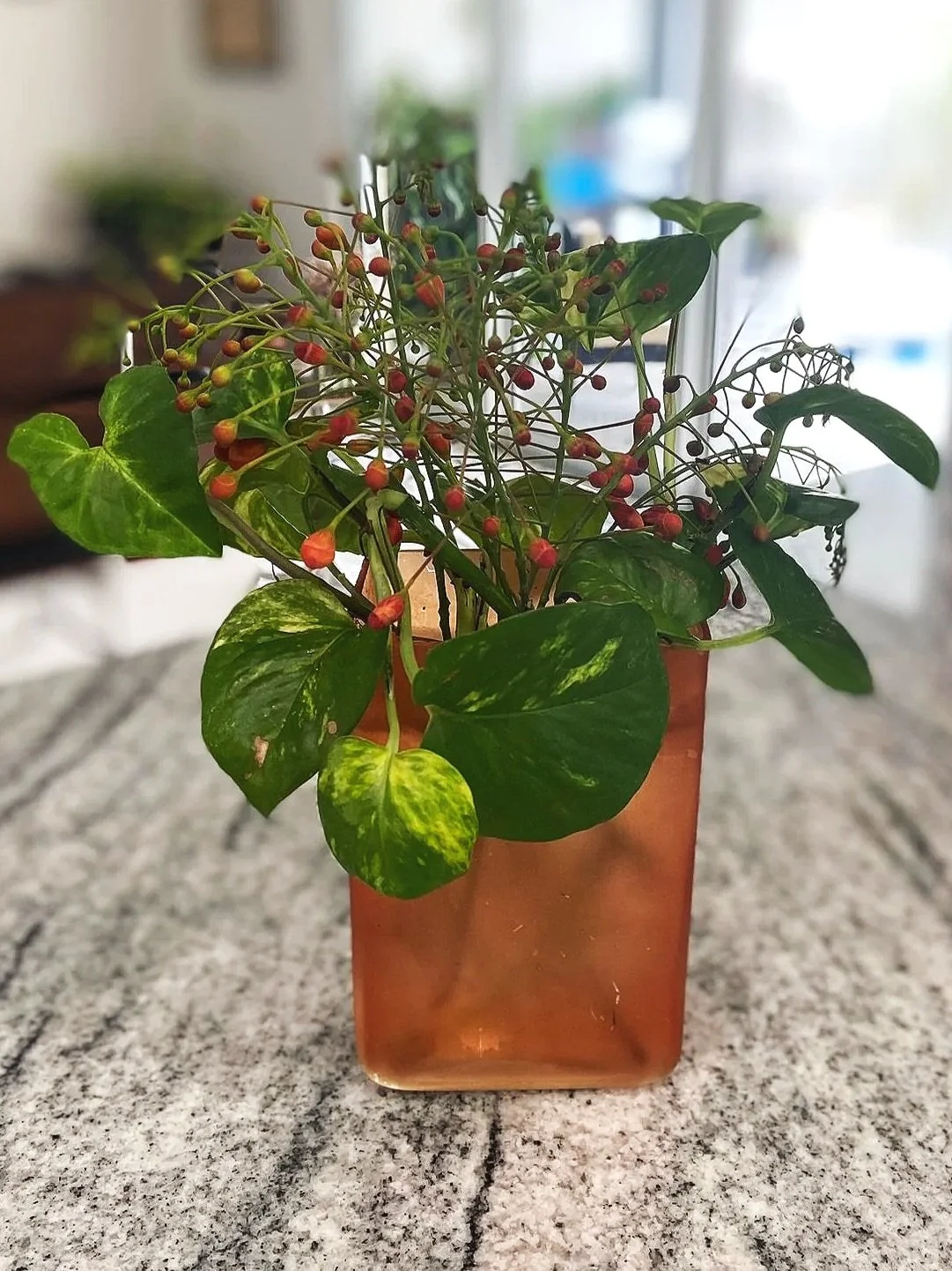 Exhibit 3: #28 Arrangement - Marcia Dieleman
