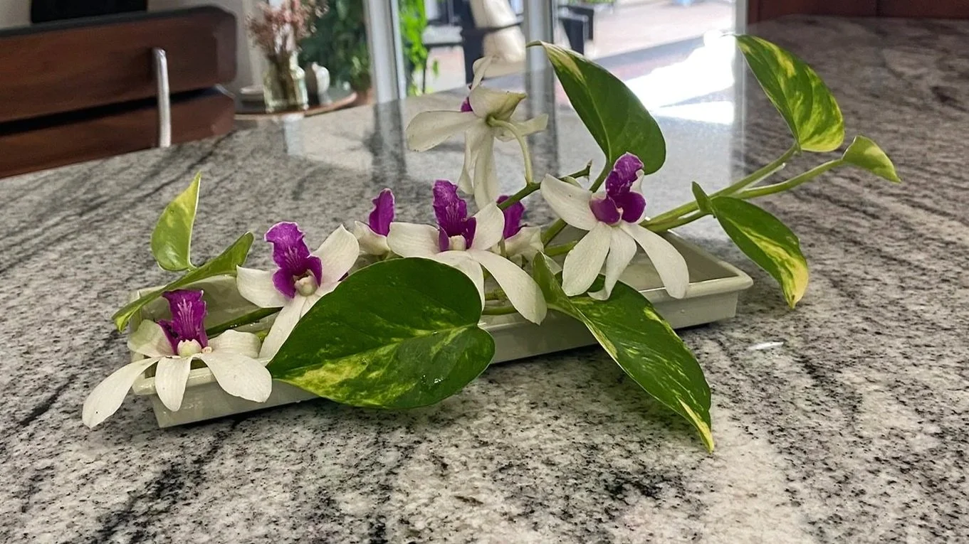 Exhibit 3: #29 Arrangement - Marcia Dieleman