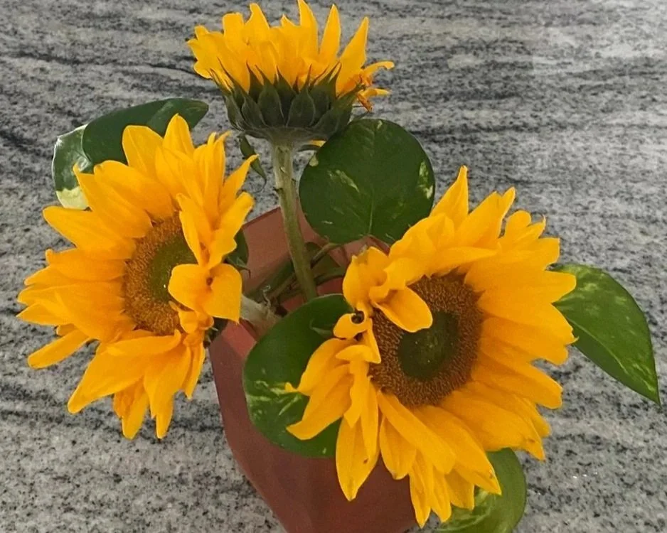 Exhibit 3: #24 Arrangement - Marcia Dieleman