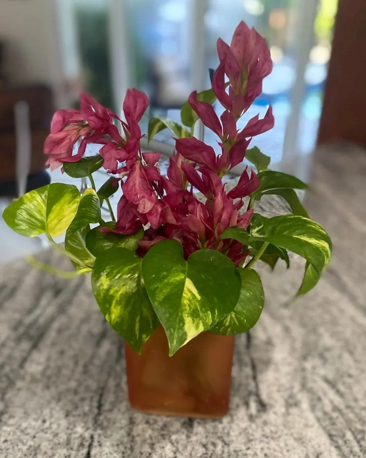 Exhibit 3: #22 Arrangement - Marcia Dieleman