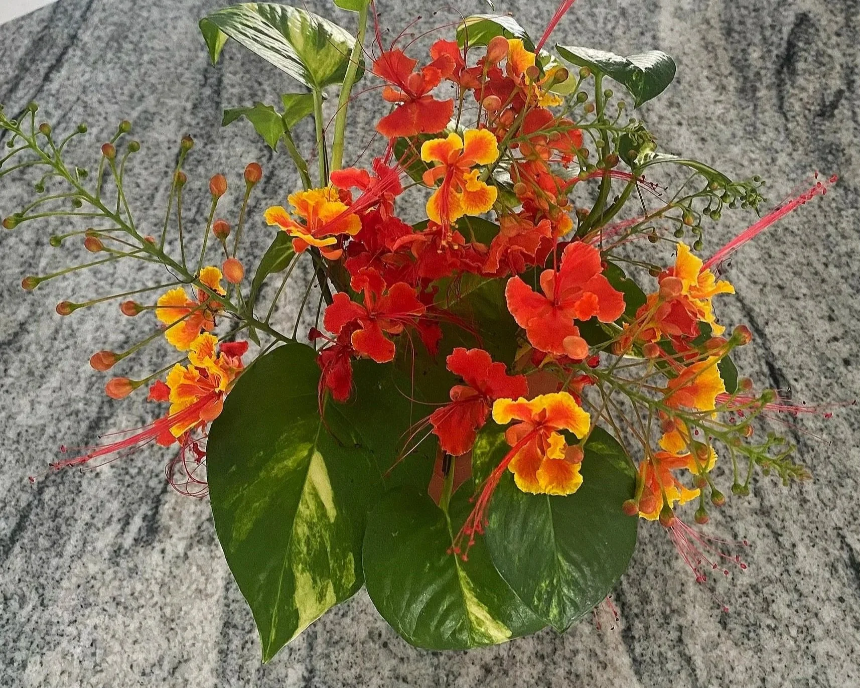 Exhibit 3: #20 Arrangement - Marcia Dieleman